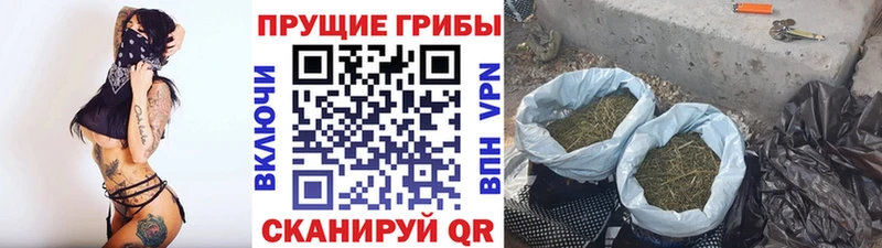 Галлюциногенные грибы мухоморы  Пустошка 